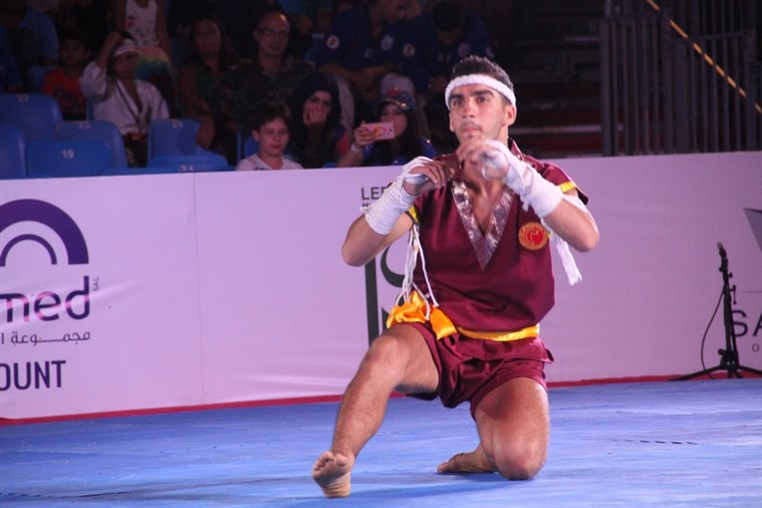 Martial Arts Festival